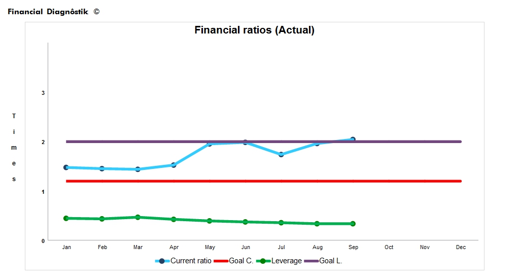 Financial Diagnôstik© — Financial ratios